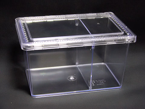 楽天市場】クリアースライダー（セパレータ付き） : 九十九里クワガタ