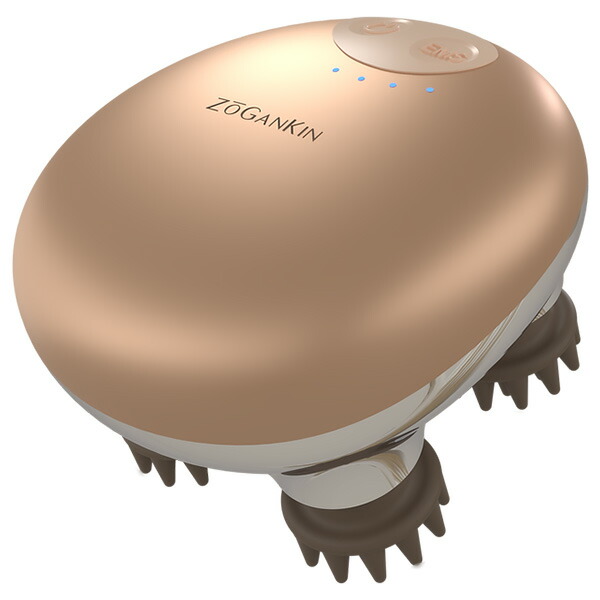 楽天市場】【正規品販売店】【限定色あり】【1年保証】【レビューで