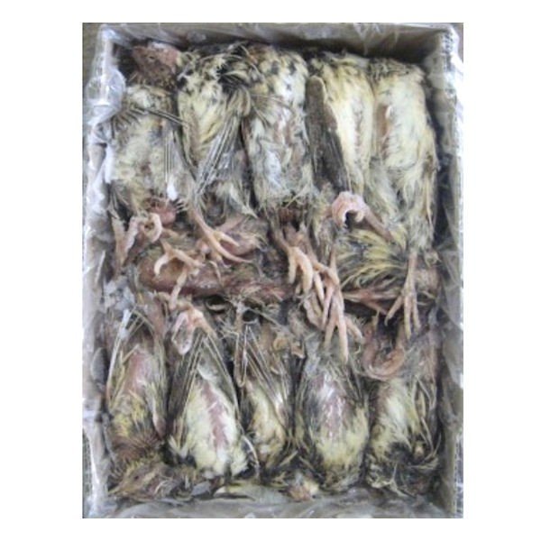 楽天市場】【冷凍】冷凍ウズラ アダルト 10羽（T2）【クール便発送