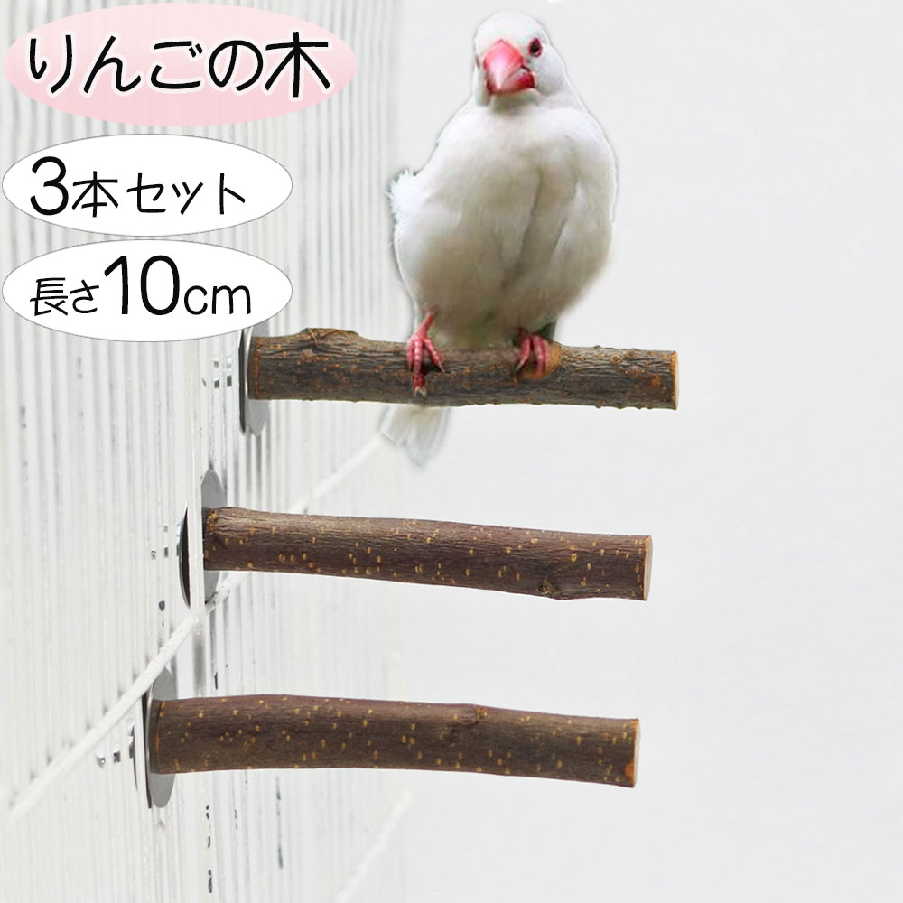 楽天市場】インコ セキセイインコ ボタンインコ マメルリハ