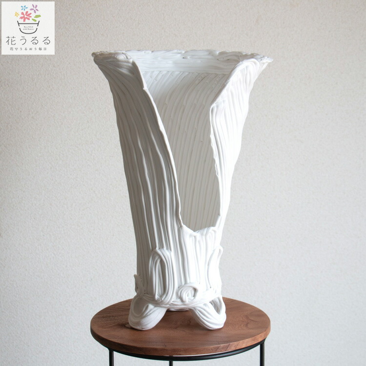 楽天市場】綱木紋(つなきもん) 鉢【Sスリット・スモール