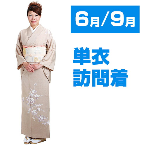 楽天市場】【訪問着】単衣（6月/9月向け着物）石目グレー色 NT-302