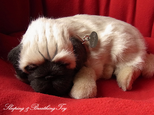 楽天市場】眠るように呼吸する パーフェクトペット (小サイズ) 柴犬