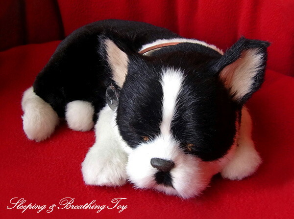 楽天市場】眠るように呼吸する パーフェクトペット (小サイズ) 柴犬