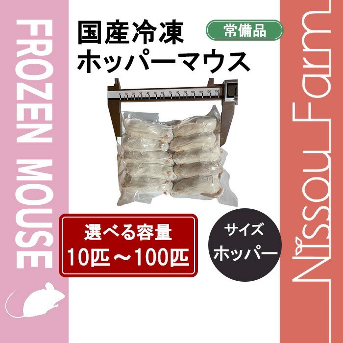 トムティットトット】国産冷凍マウス ファジー40匹 、アダルトLL20匹