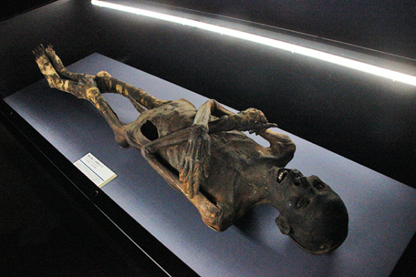 世界の43体が集結した『特別展 ミイラ～「永遠の命」を求めて