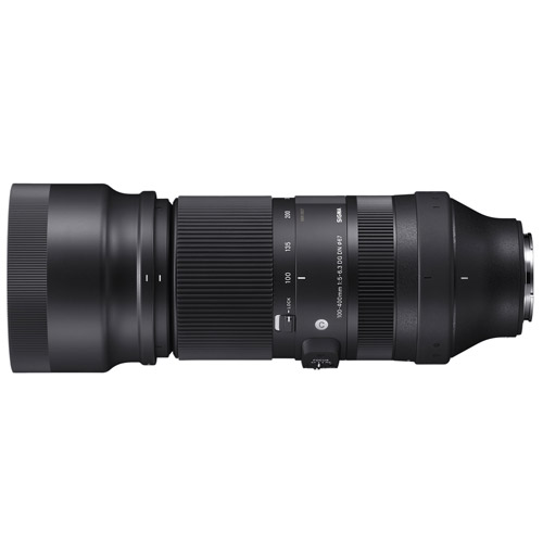 シグマ 100-400mm F5-6.3 DG DN OS | Contemporaryで撮る旅の記録 | ShaSha