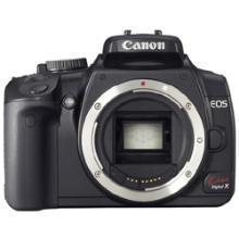 ネイチャースナップのすすめ｜格安中古で学ぶ一眼レフの基礎【ピント編