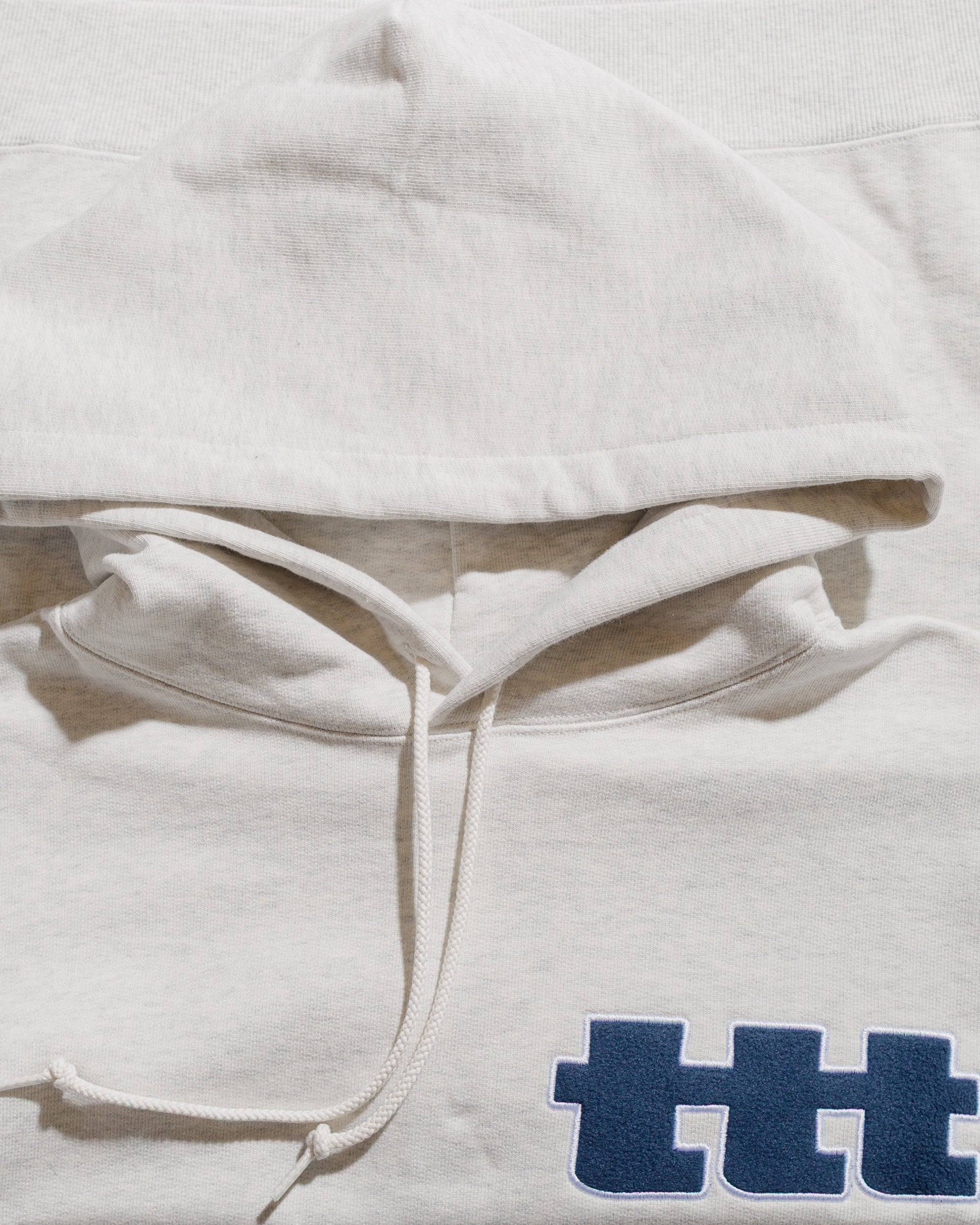 TTT MSW Logo Hoodie Ash