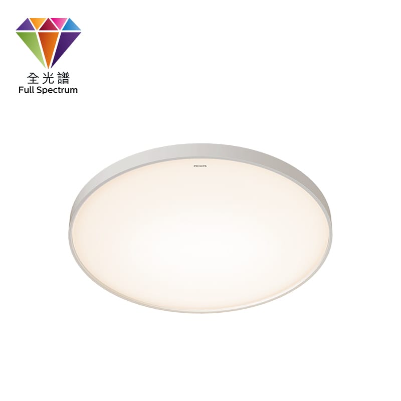 ZX306 / ZX307 Ceiling Light