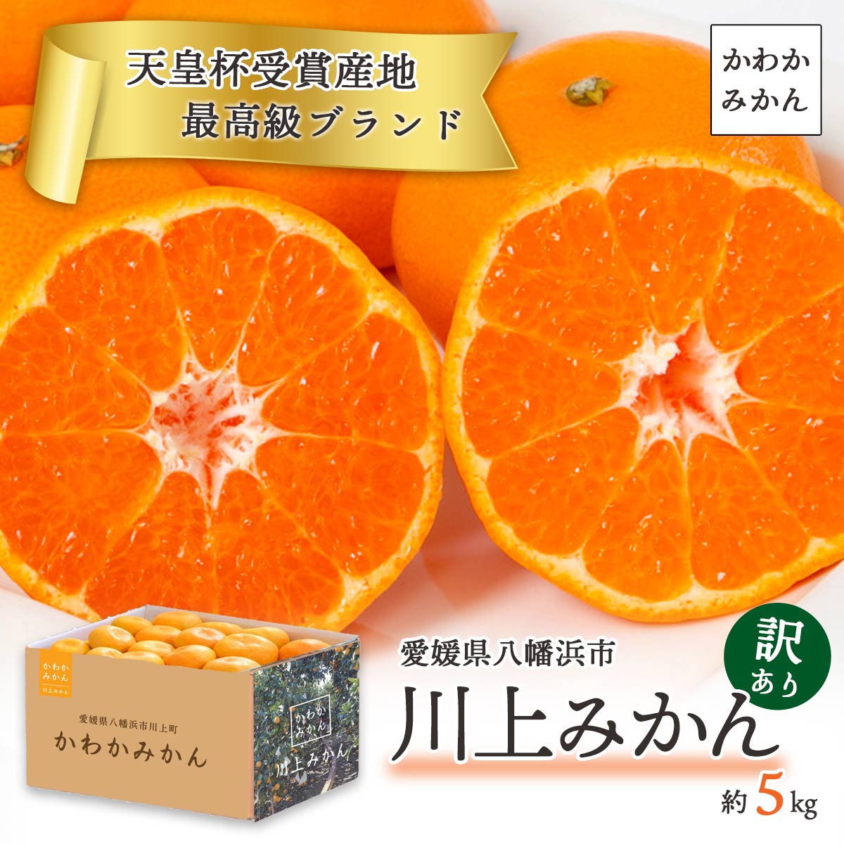 天皇杯受賞産地 最高級ブランド 川上みかん 5kg【訳あり】 | 47CLUB