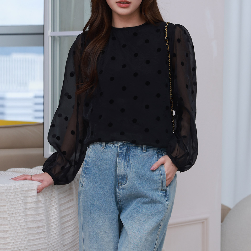 ブラウス 長袖 レディース シアー シースルー トップス フロッキー