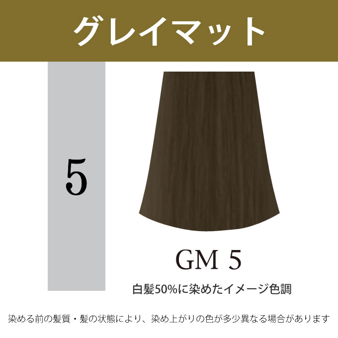 ACCESS FREE ナプラ アクセスフリーHB グレイシスカラー GM5 グレイ