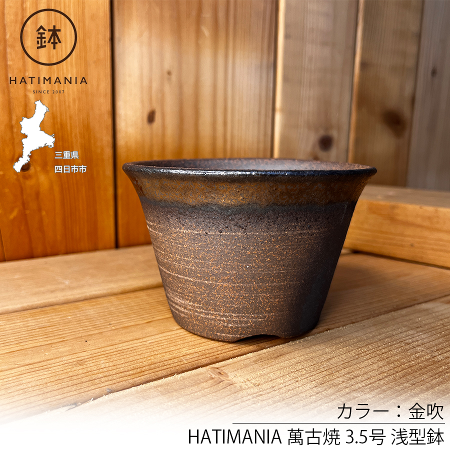HATIMANIA 鉢マニア 金吹 3号 六平 3.5号 尻丸 ラッパ 浅型 日本製