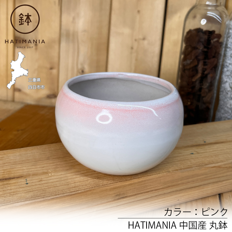 HATIMANIA 鉢マニア 丸 3.5号 盆栽鉢 水が抜けやすい 小さい 小サイズ