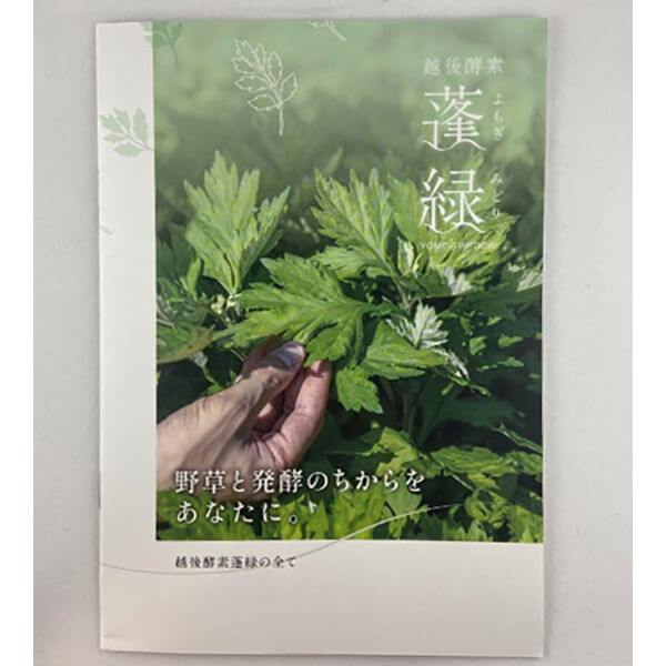 爆買WEEK ！ポイント最大+12％！】越後酵素 蓬緑(よもぎみどり) パウチ