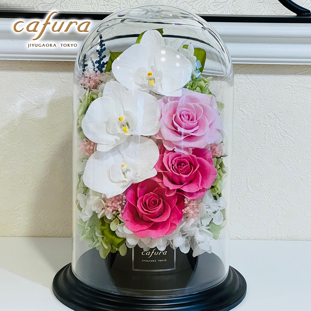 プリザーブドフラワー 仏花 胡蝶蘭 ガラスドーム 御祝 お供え お悔やみ