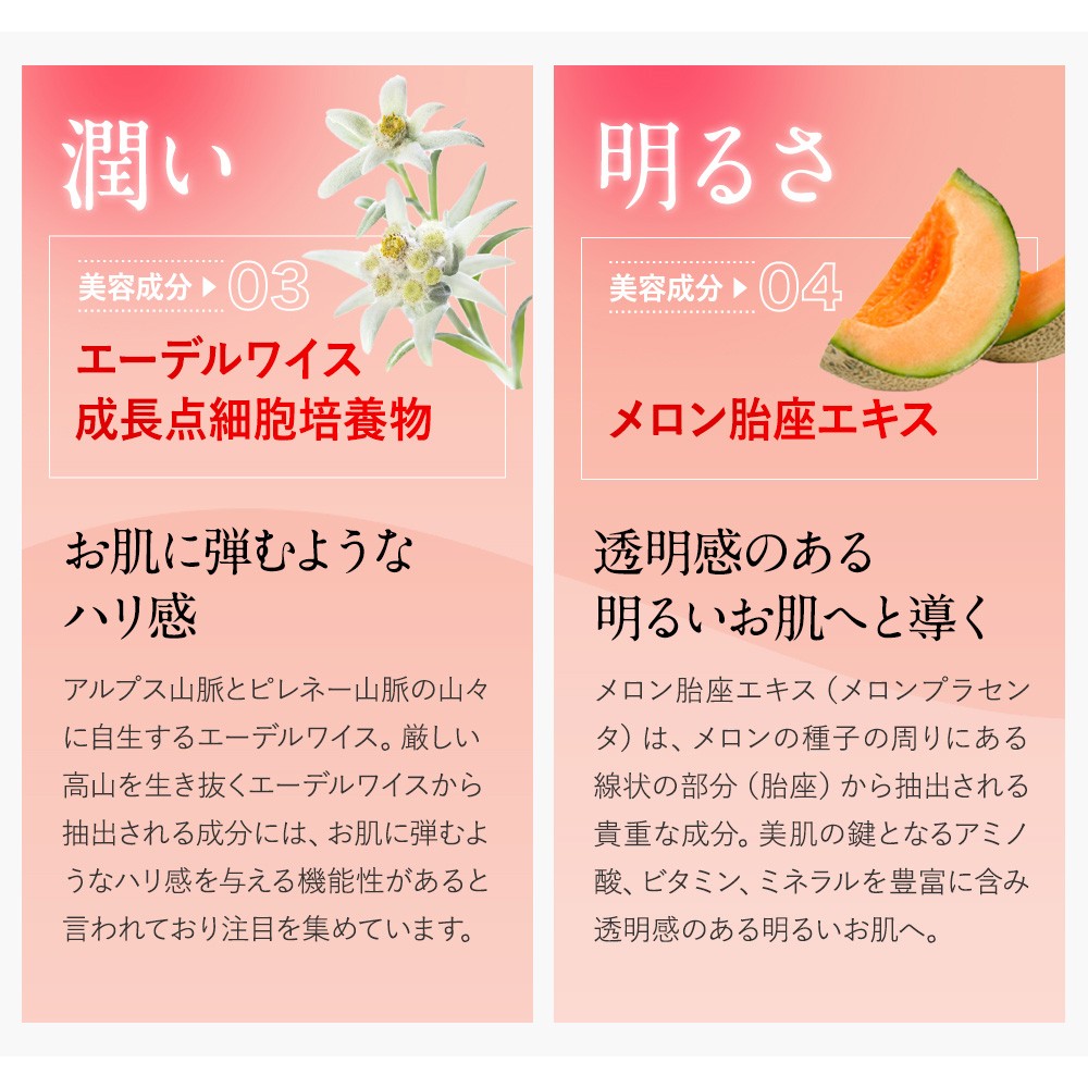 エニシー グローパック 10回分 2個セット 【リニューアル前商品】 送料