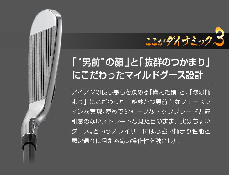 DYNAGOLF（ダイナゴルフ） ゴルフ クラブ メンズ アイアンセット 6本