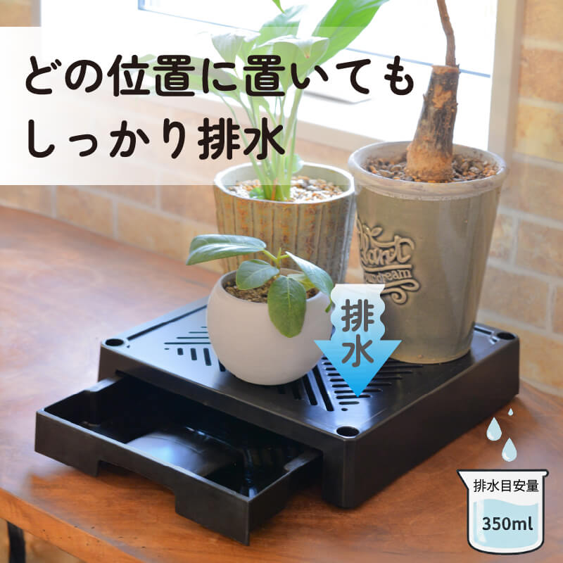 DAIM どこでもブラックベース 24cm 排水トレイ付き 水受け付き 鉢