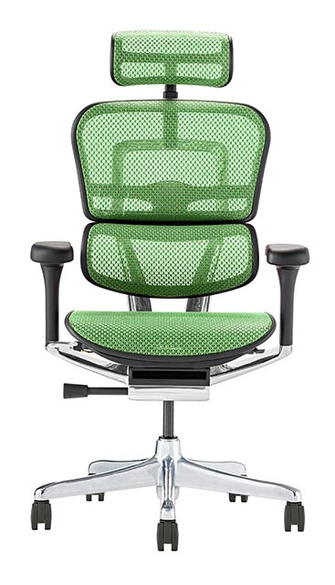 エルゴヒューマン（Ergohuman） 2025年新型 レビュー特典あり 組立設置