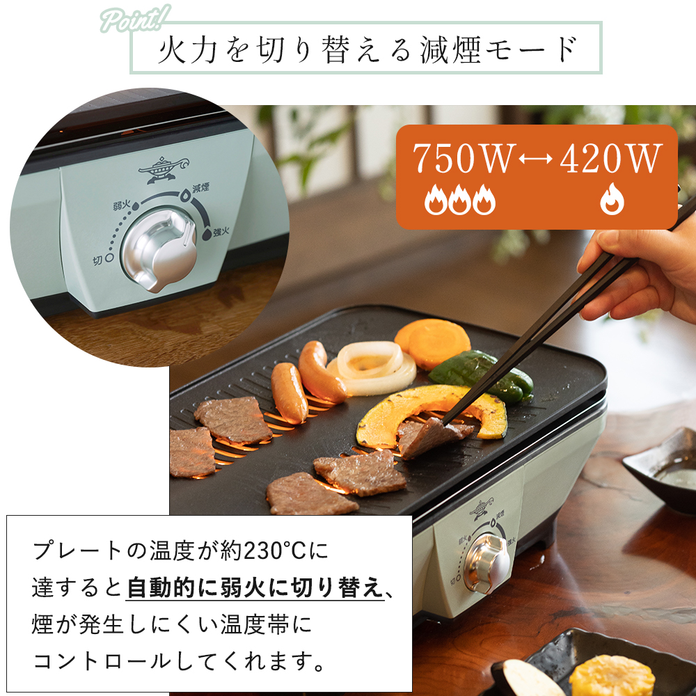 アラジン（Aladdin） (豪華2大特典) グラファイト ミニグリラー