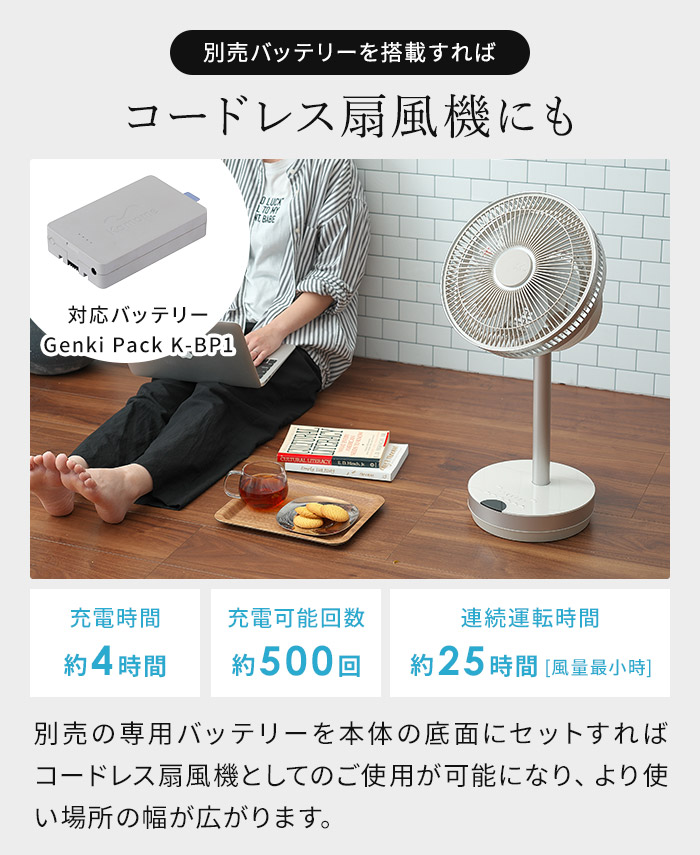 カモメファン ミニ 23cm FKLW-231B 扇風機 dc サーキュレーター