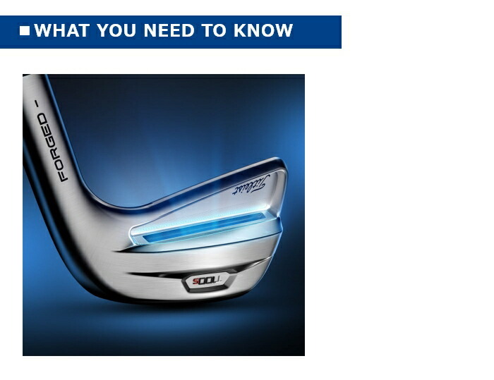 Titleist（タイトリスト） T100 S 2021 単品アイアン(#5、W(48)) N.S.