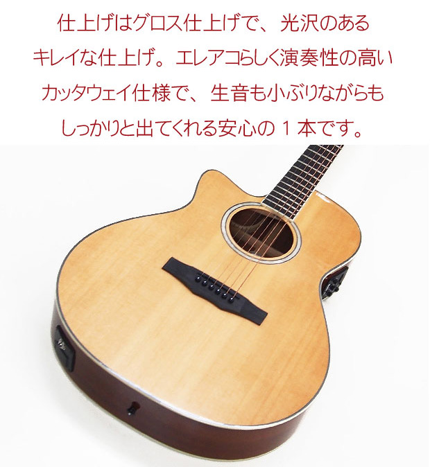 Morris モーリス エレアコ R-011 LH N 初心者 入門 8点 セット