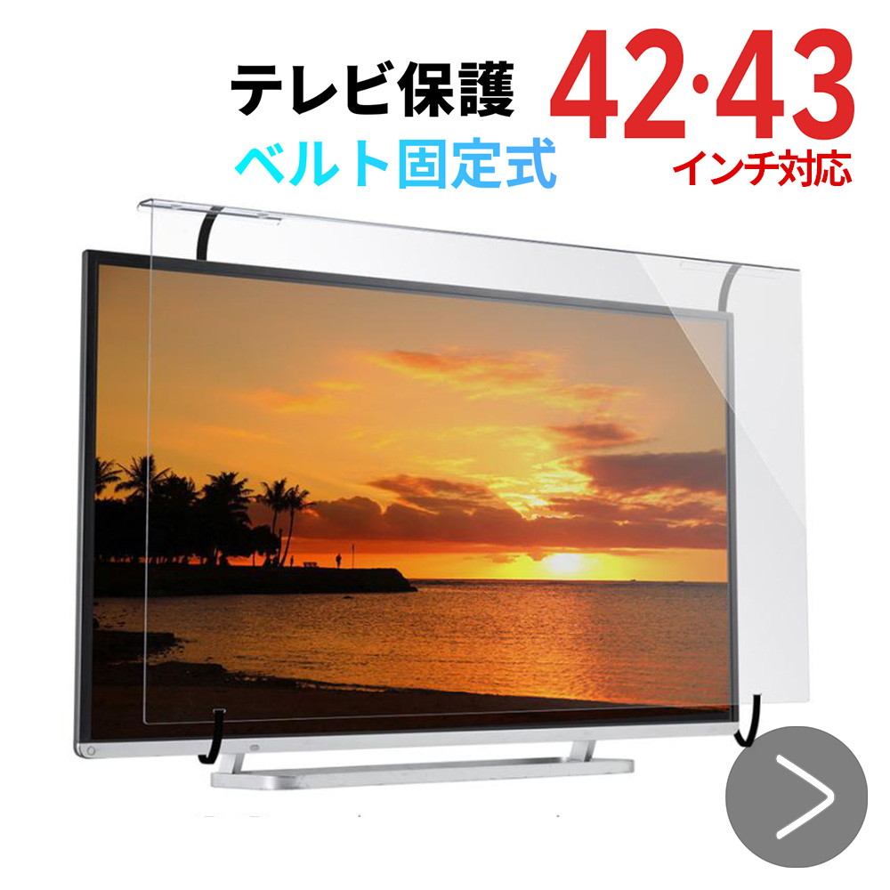 SANWA SUPPLY（サンワサプライ） テレビ保護パネル 48インチ対応 49