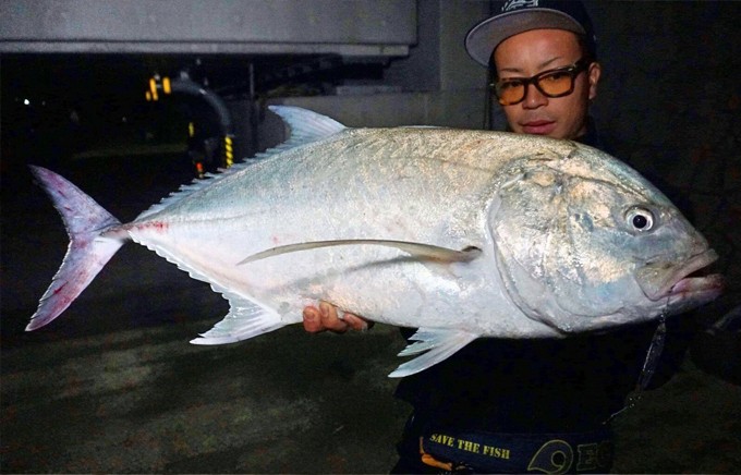 ホッツ Fishing Gang FIDELITY AZUSA 66SL (ライトゲームロッド