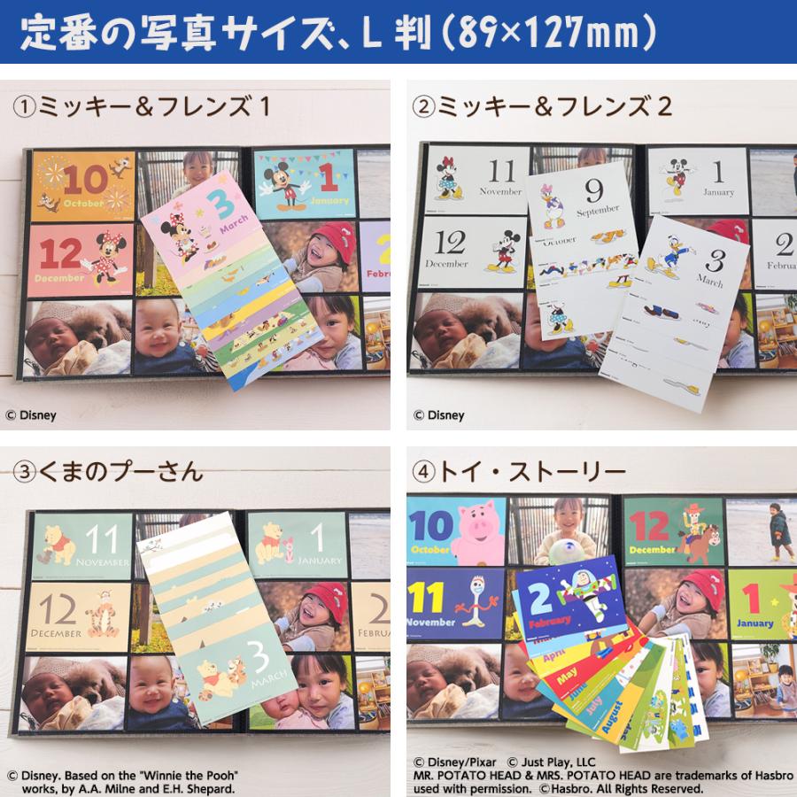 ナカバヤシ 【WEB限定品】アルバム ディズニー マンスリー デザイン