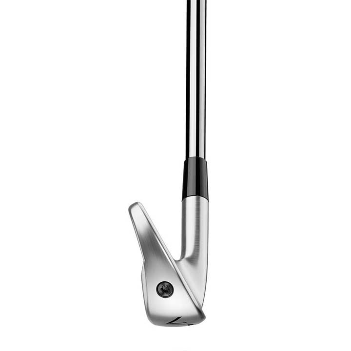 TaylorMade（テーラーメイド） NEW P790 アイアン 5本セット（#6〜9,PW