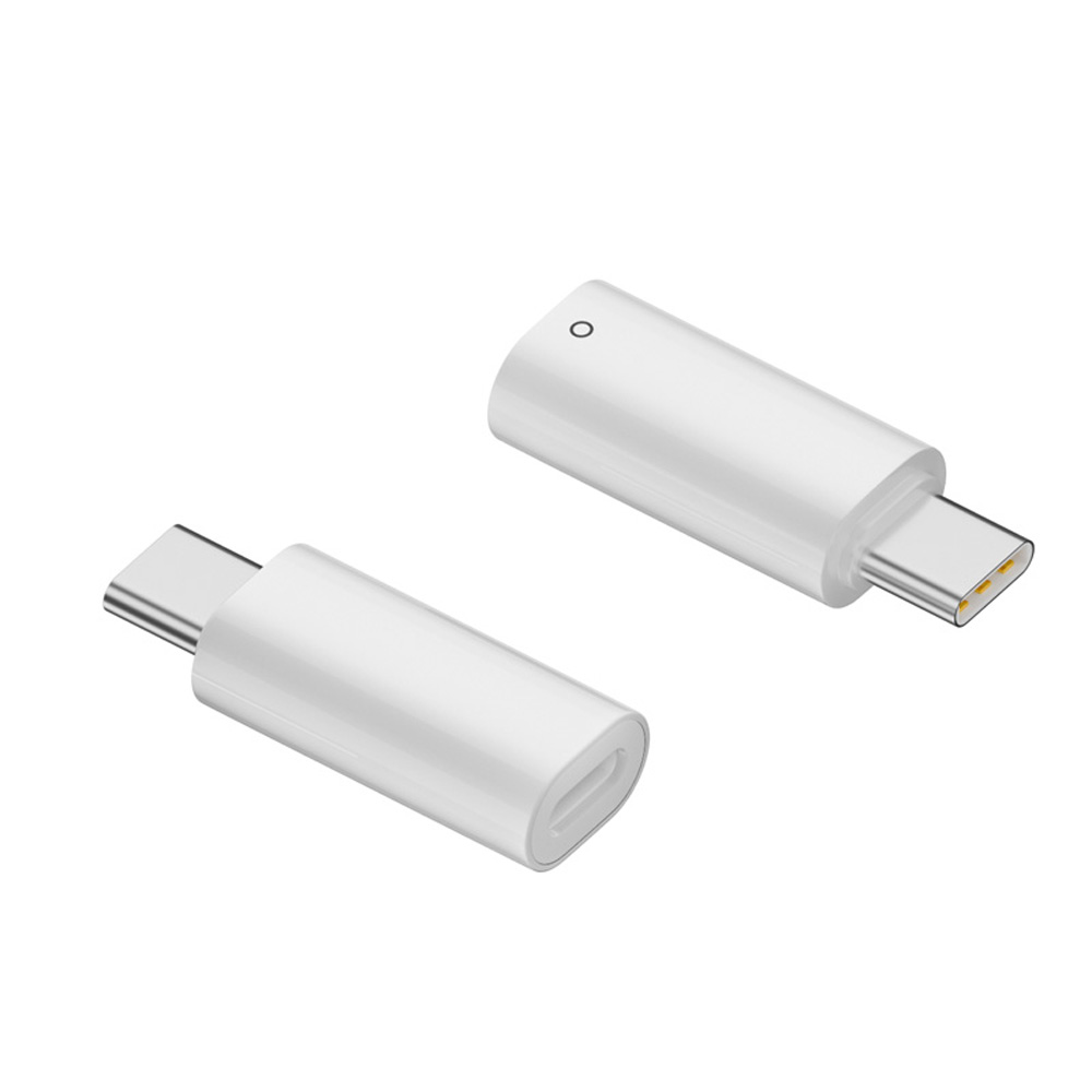 コネクタ Lightning to Type-C 変換 アダプタ iPad 第10世代 対応