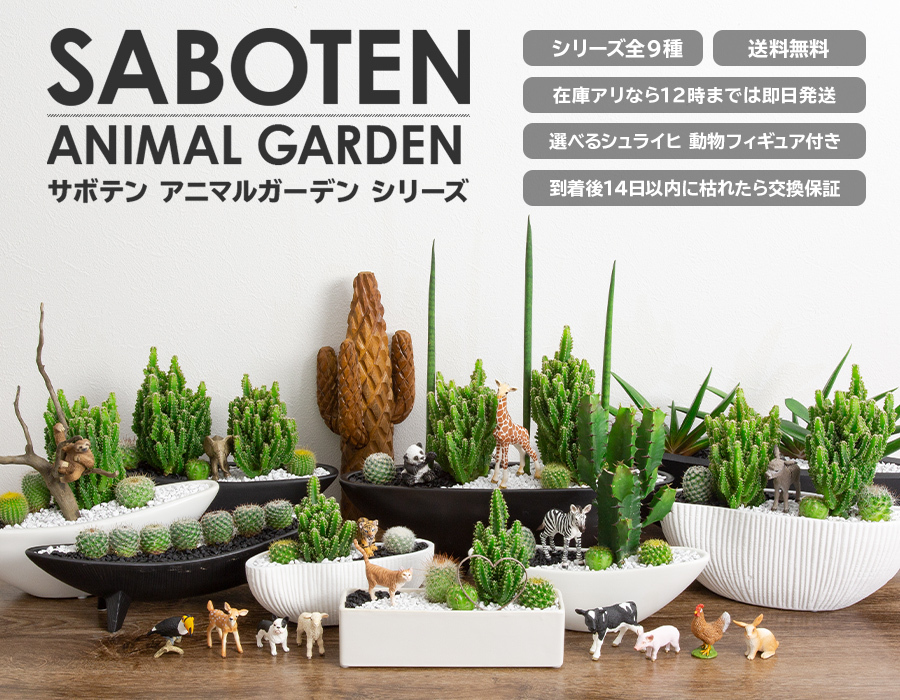多肉植物 サボテン トゲなし 寄せ植え 舟形大タイプ 選べる動物