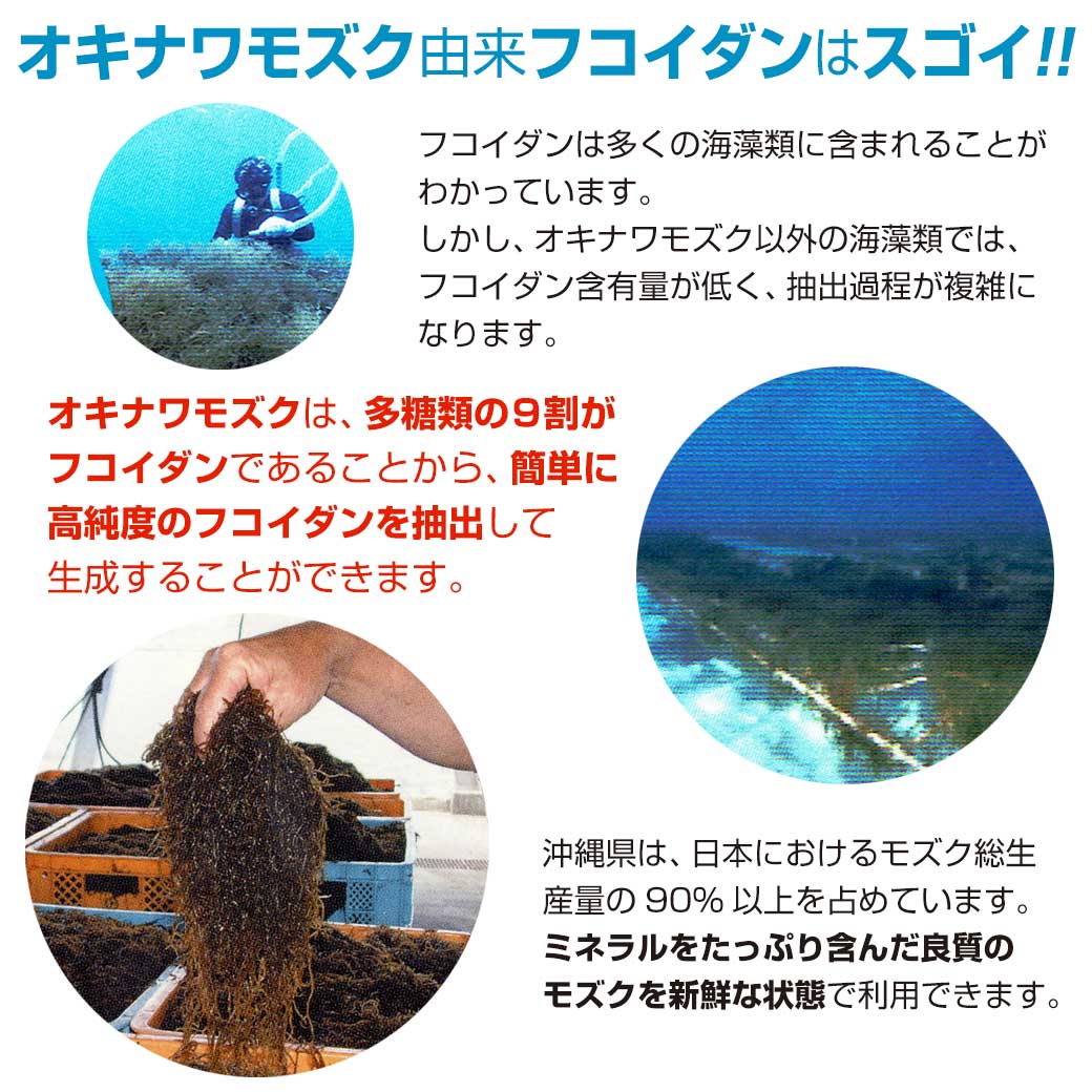 金秀バイオ 沖縄フコイダン（180粒入）4個セット レビュー記入で