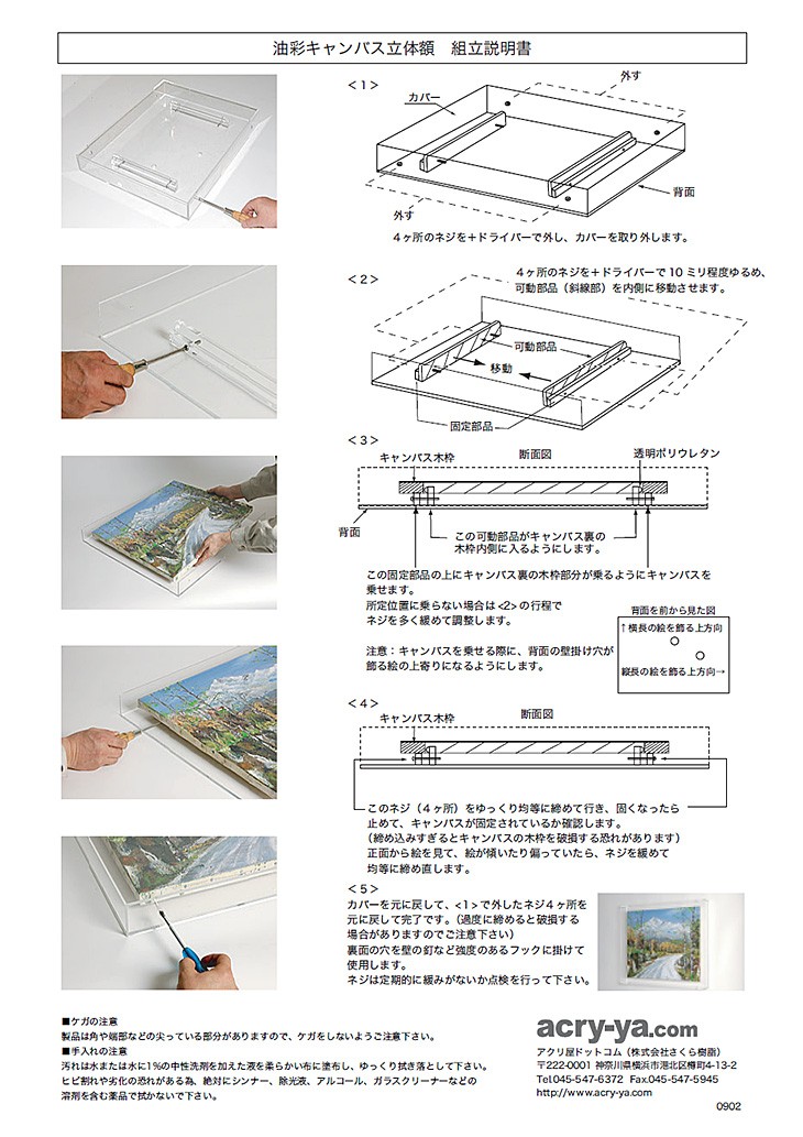油彩キャンバス F10 額縁 壁掛け ケース ボックス 箱型 奥行 絵画 油絵