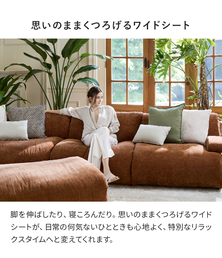 エア・リゾーム ソファー 一人掛け ローソファー ソファ 1人 一人掛け