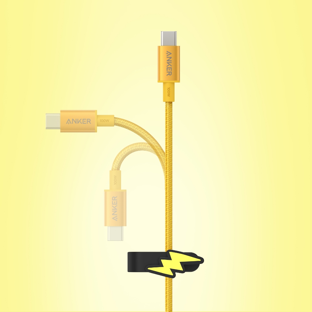 Anker（アンカー） Anker USB急速充電器 120W ライチュウモデル (USB