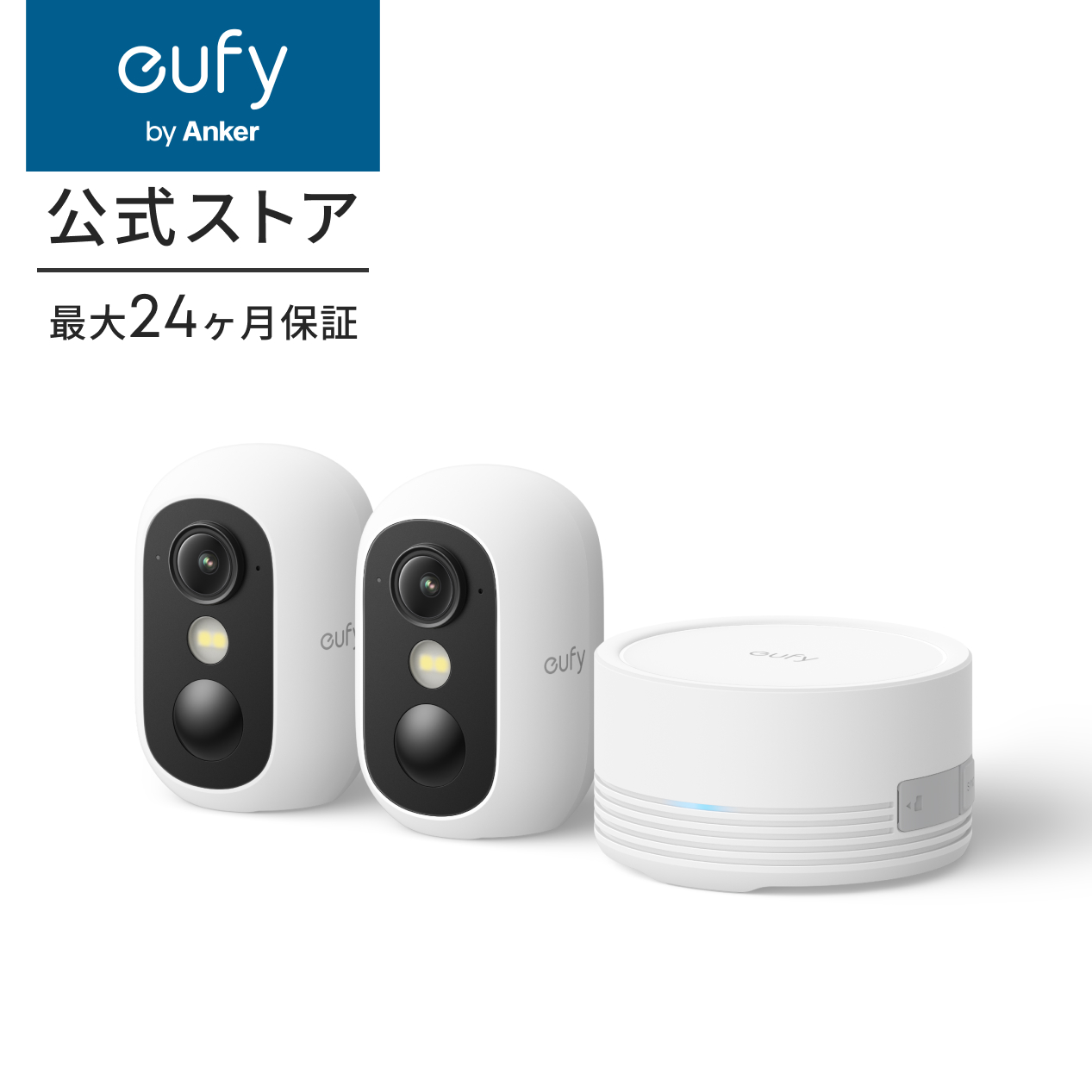 Anker（アンカー） Anker Eufy (ユーフィ) eufyCam C35 2-Cam Kit