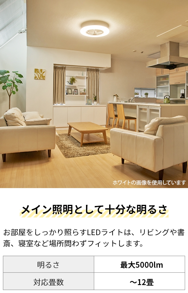 DOSHISHA（ドウシシャ） サーキュライト 選べる豪華特典 シーリング