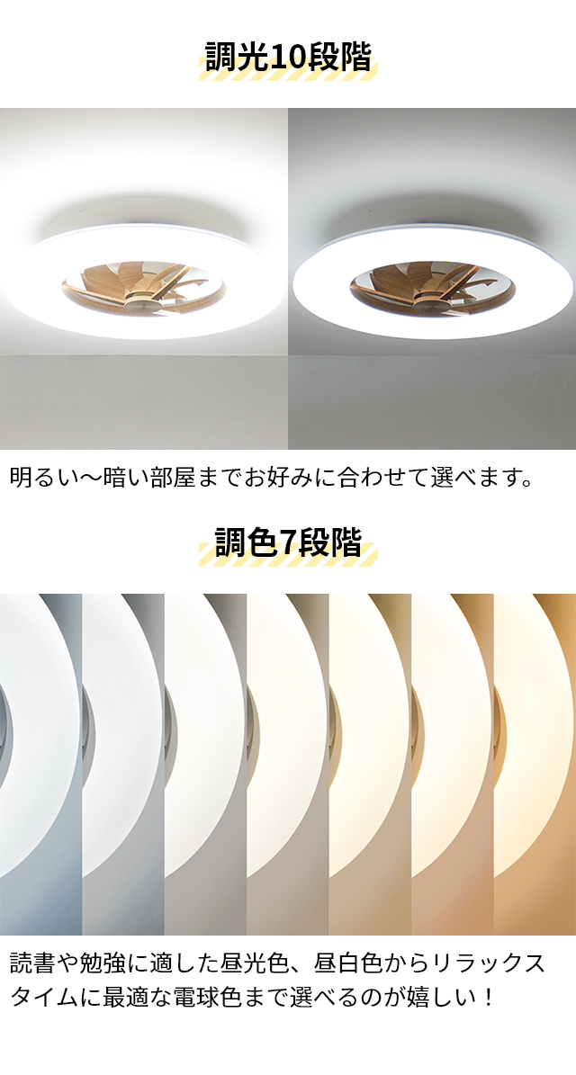 DOSHISHA（ドウシシャ） サーキュライト 選べる豪華特典 シーリング