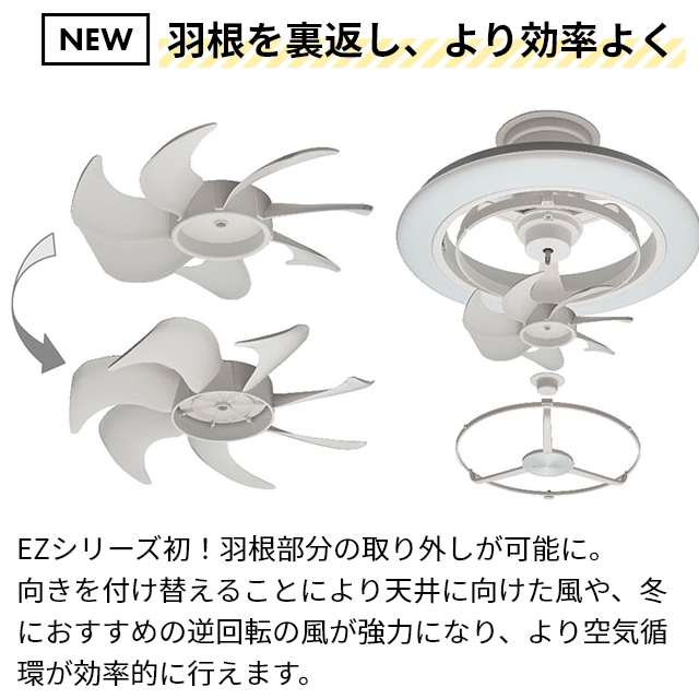 DOSHISHA（ドウシシャ） 選べる豪華特典 サーキュライト EZシリーズ