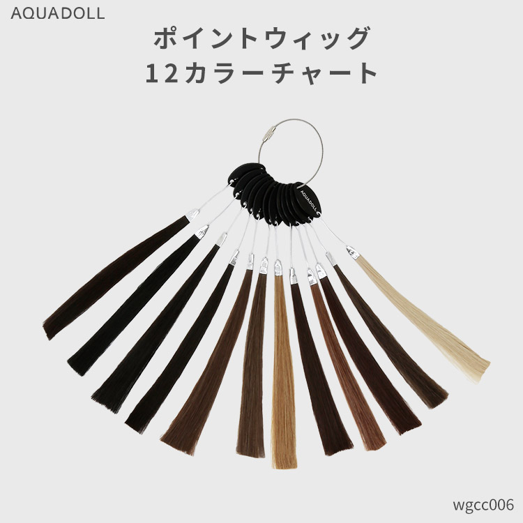 AQUADOLL（アクアドール） ポイントウィッグ カラーチャート 部分