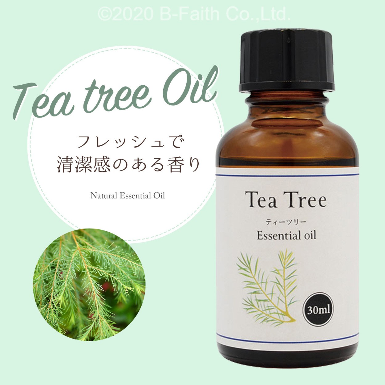teatree3001.jpg