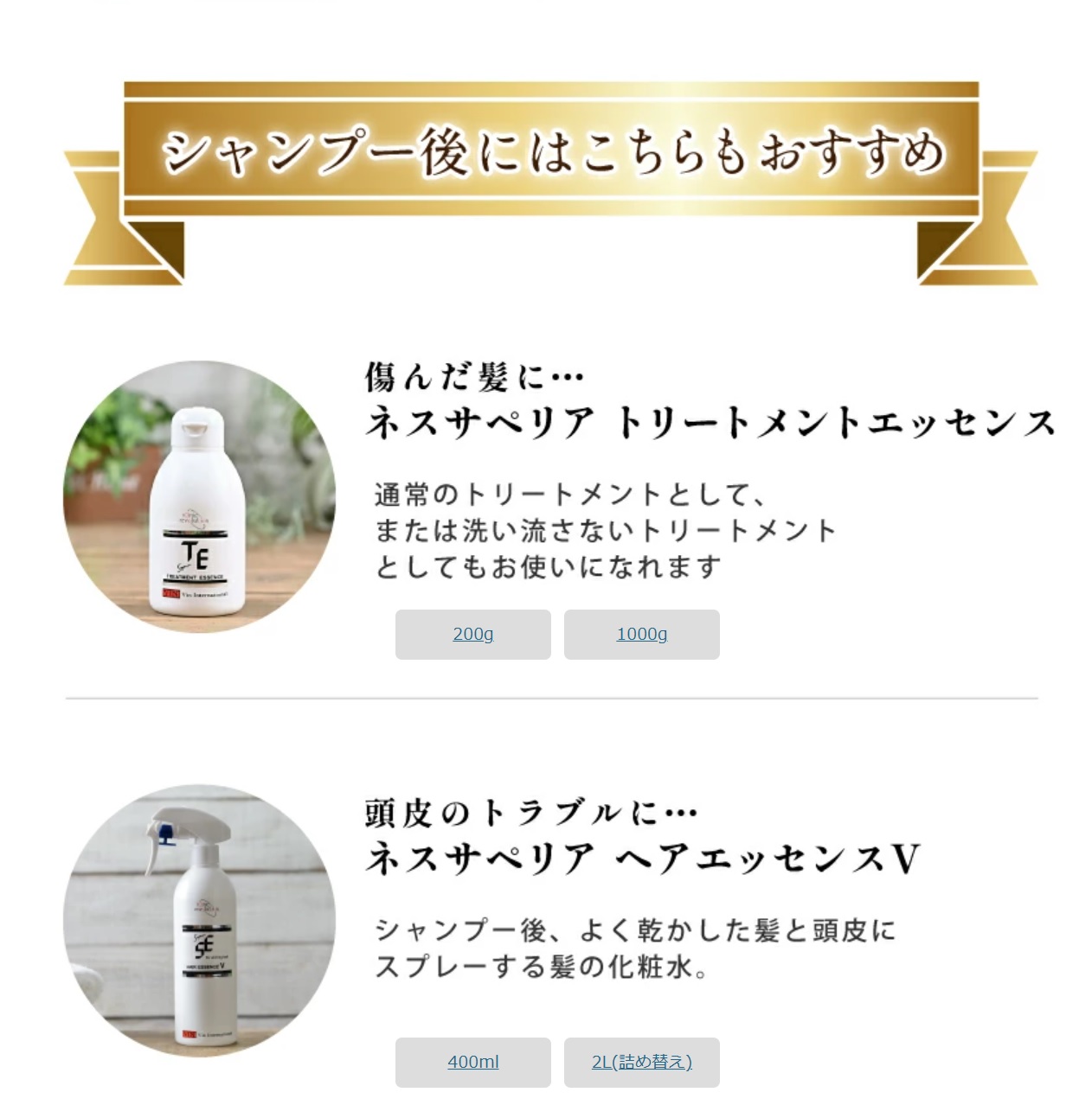 ioneat イオニート シャンプー エッセンスV 500ml（パウチ3枚付