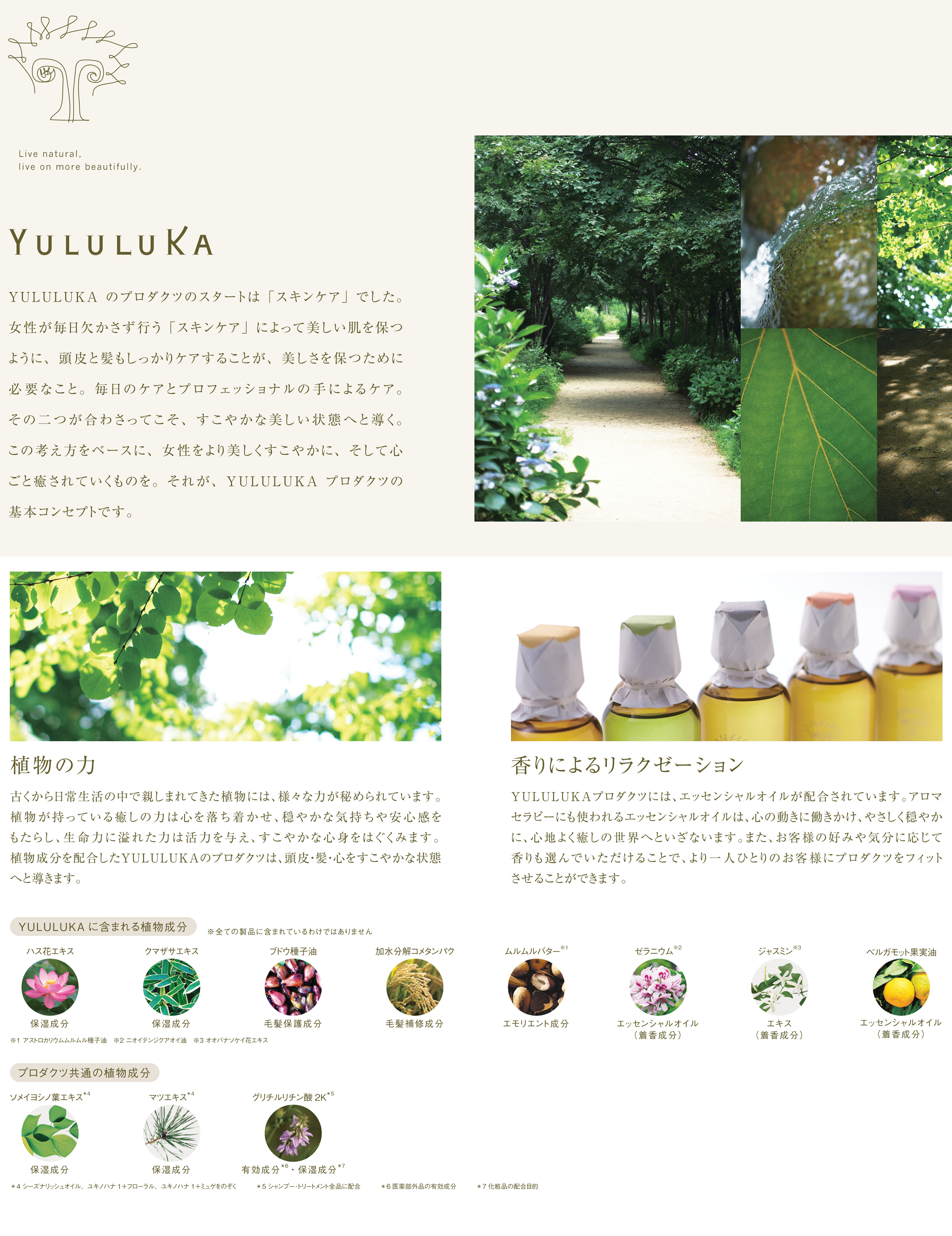 no3（NUMBER THREE） ナンバースリー ユルルカ フローラナリッシュ