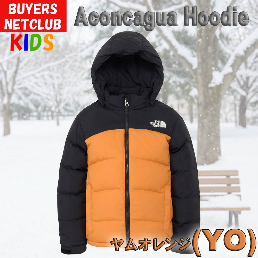 THE NORTH FACE（ザ ノースフェイス） キッズ ダウンジャケット 100