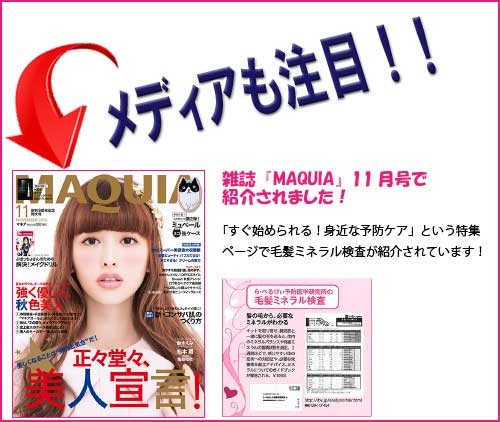 毛髪ミネラル検査キット 29元素 体内のミネラルバランスと有害金属の