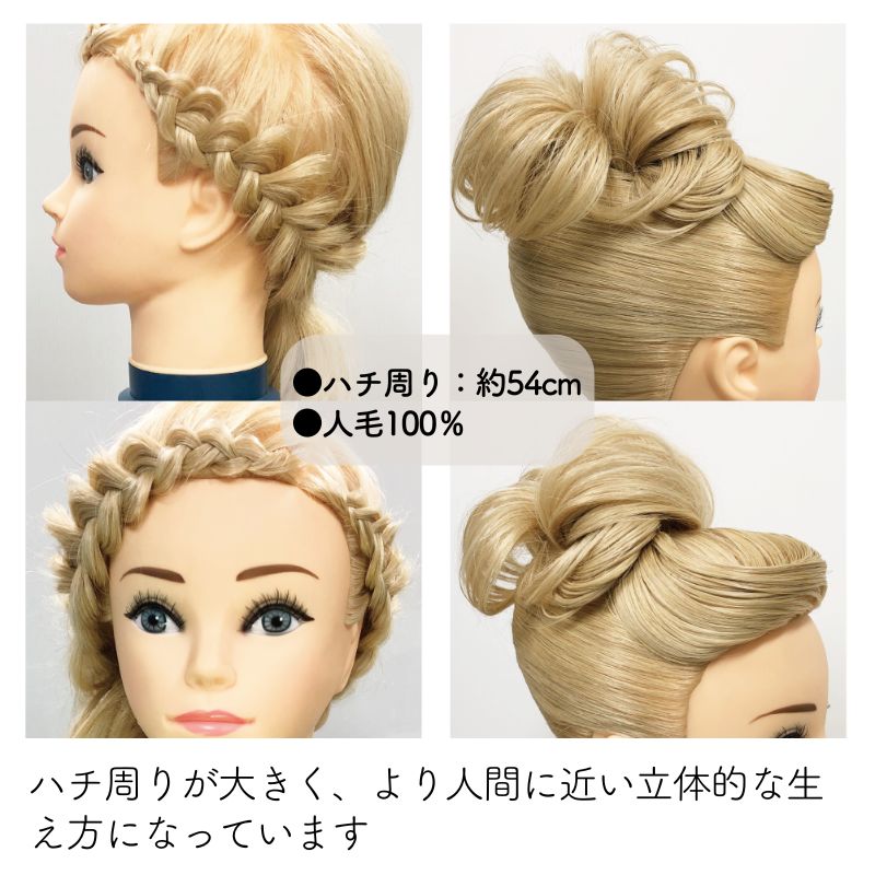 AIVIL（アイビル） アップウィッグ ブラウン 人毛100％ #295 アップ